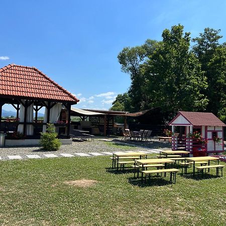 Casa Cu Flori Maramures Baia Mare Dış mekan fotoğraf