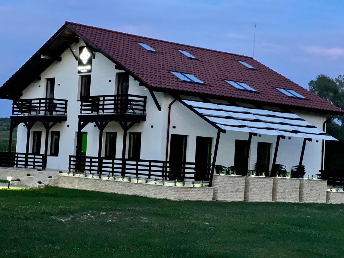 Casa Cu Flori Maramures Baia Mare Dış mekan fotoğraf