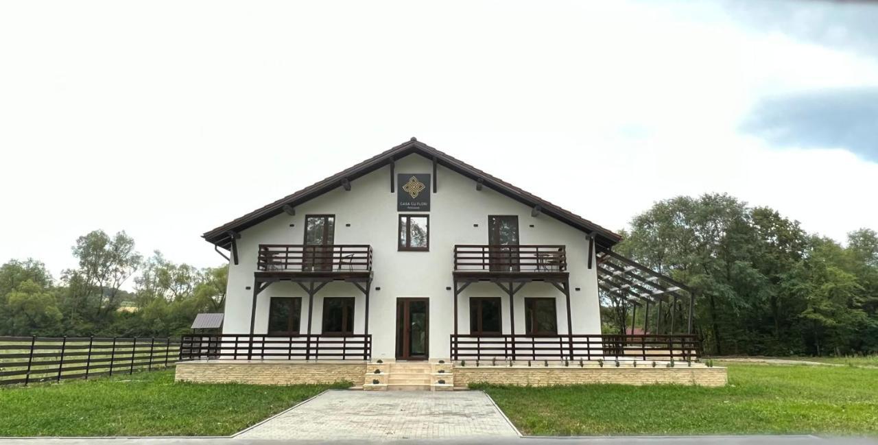 Casa Cu Flori Maramures Baia Mare Dış mekan fotoğraf