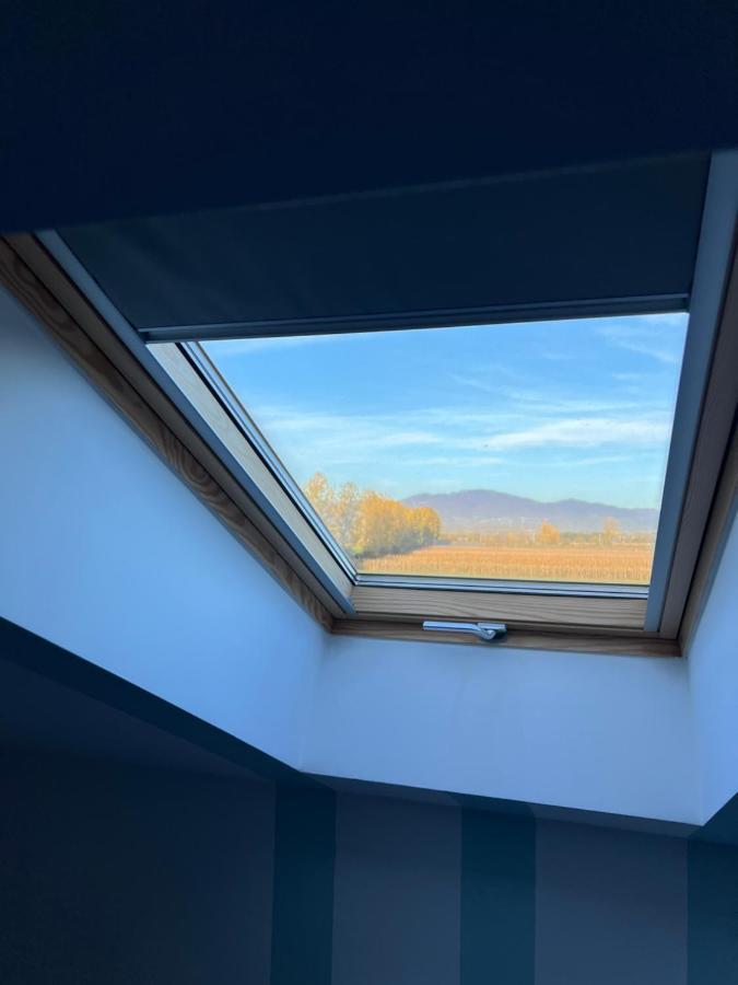 Casa Cu Flori Maramures Baia Mare Dış mekan fotoğraf