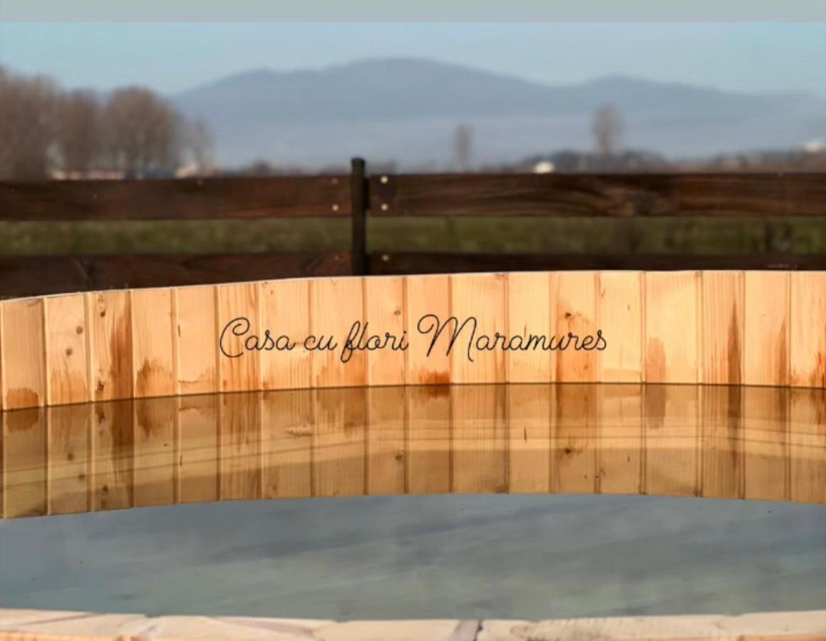 Casa Cu Flori Maramures Baia Mare Dış mekan fotoğraf