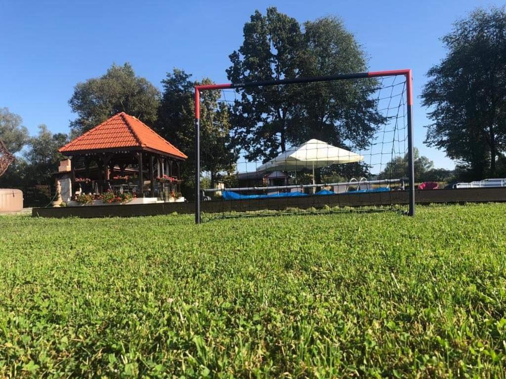 Casa Cu Flori Maramures Baia Mare Dış mekan fotoğraf