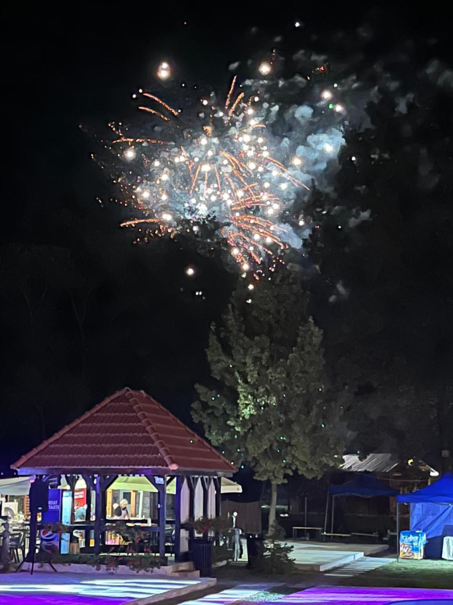 Casa Cu Flori Maramures Baia Mare Dış mekan fotoğraf