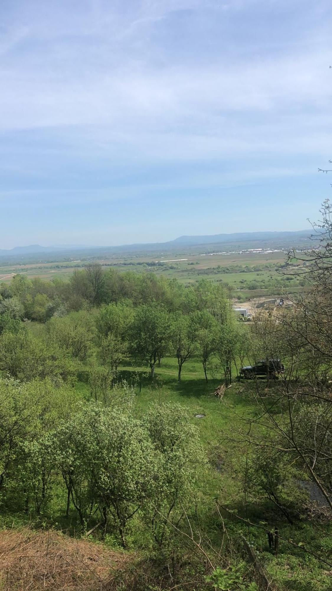 Casa Cu Flori Maramures Baia Mare Dış mekan fotoğraf