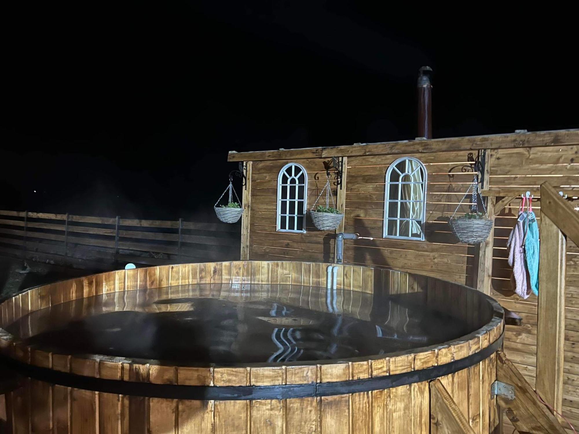 Casa Cu Flori Maramures Baia Mare Dış mekan fotoğraf
